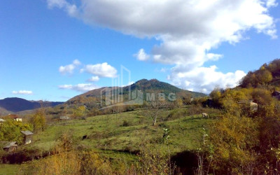 Продается Земельный Земля В Исте, Амбролаури