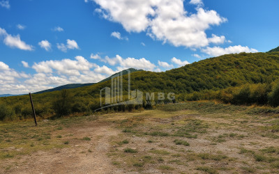 For Sale Construction - Investment Land In Signagi