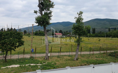 Продается Новостройка Дом - Вилла В Натахтари, Мцхета