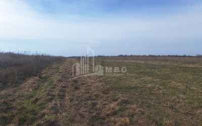 For Sale Orchards Land In Kvemo Shukhuti, Lanchkhuti