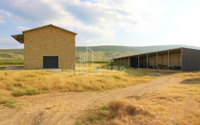 For Sale Chateau / Wine factory Commercial In Does, Kaspi