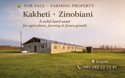 Продается Фермерские земли - Пастбища Земля В Зинобиани, Кварели