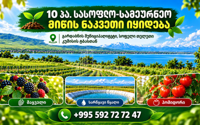 Продается Фруктовые сад Земля В Кумиси, Гардабани