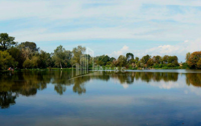 For Sale Vineyard - Chateau Land In Kvareli