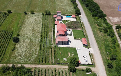 For Sale Chateau / Wine factory Commercial In Kakheti