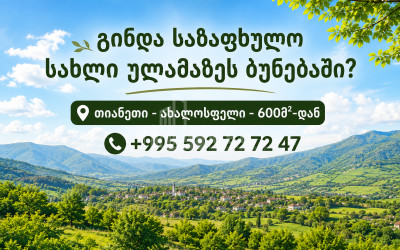 Продается Дачные Земля В Ахалсопели, Тианети