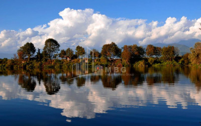 For Sale Vineyard - Chateau Land In Kvareli