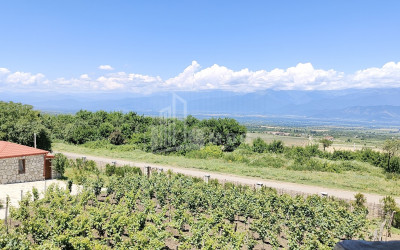 For Sale Chateau / Wine factory Commercial In Kakheti