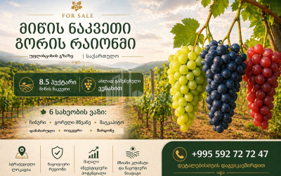 Продается Виноградник - Замковые Земля В Гори