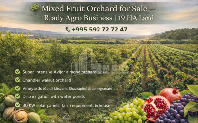 For Sale Orchards Land In the Village Shaumiani, Marneuli