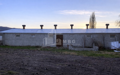 Продается Операционная ферма Коммерческий В Мухрани, Мцхета