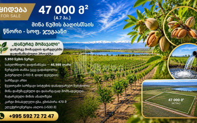 Продается Пахотные Земля В Джугаани, Сигнаgи