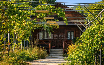 Продается Старое здание Дом - Вилла В Село Чопорте, Душети