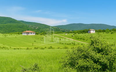 Продается Дачные Земля В Ахатани, Душети