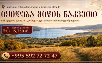 Продается Дачные Земля В Базалети, Душети