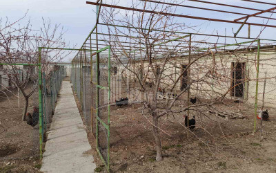 Продается Операционная ферма Коммерческий В Мухрани, Мцхета
