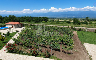 For Sale Chateau / Wine factory Commercial In Kakheti