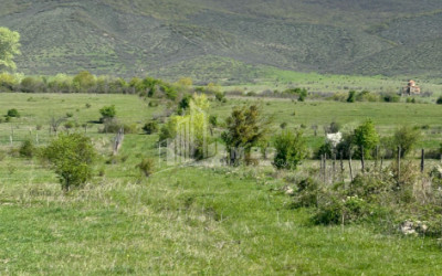 Продается Дачные Земля В Село ксовриси, Мцхета