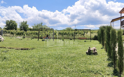 For Sale Chateau / Wine factory Commercial In Kakheti