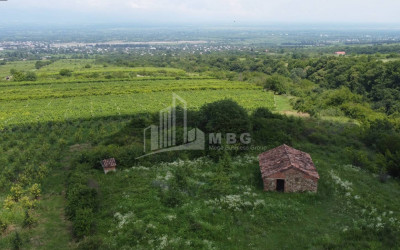 Продается Виноградник - Замковые Земля В Зегаани, Гурджаани