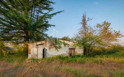 For Sale Chateau / Wine factory Commercial In Akhmeta