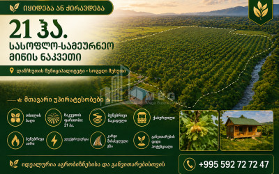 For Sale Orchards Land In Kvemo Shukhuti, Lanchkhuti