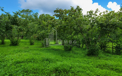 Продается Пахотные Земля В Село Чибати, Ланчхути
