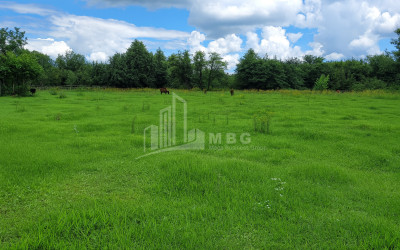 Продается Пахотные Земля В Село Чибати, Ланчхути