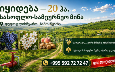 Продается Пахотные Земля В Самтацкаро, Дедоплисцкаро