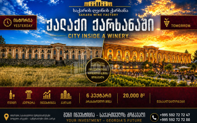 Продается Замок / Винный завод Коммерческий В Деревня Аргвете, Зестафони