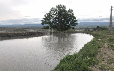 Продается Виноградник - Замковые Земля В Кварели