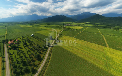 Продается Виноградник - Замковые Земля В Кварели