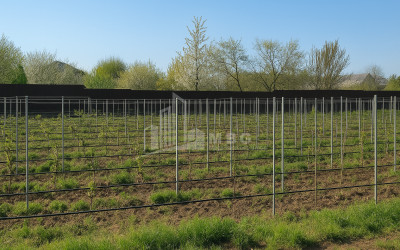 Продается Замок / Винный завод Коммерческий В Дзегви, Мцхета