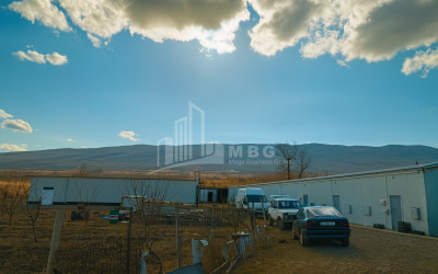 For Sale Mushroom Factory Commercial In Okami, Kaspi