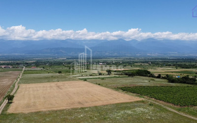 For Sale Chateau / Wine factory Commercial In Kakheti