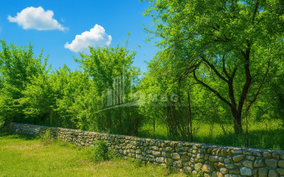 For Sale Old building House - Villa In Shalauri, Telavi