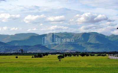Продается Дачные Земля В на Солнце., Боржоми