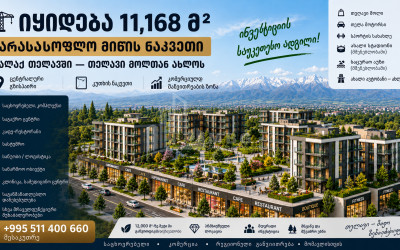 For Sale Commercial - universal Land In Telavi