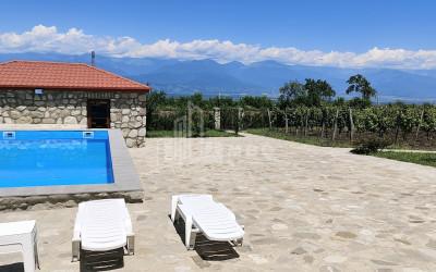 For Sale Chateau / Wine factory Commercial In Kakheti