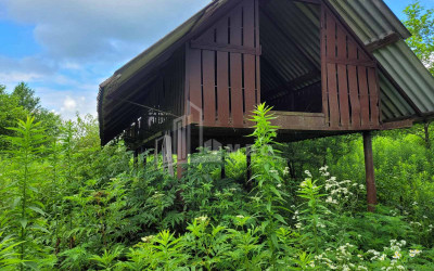 Продается Пахотные Земля В Село Чибати, Ланчхути