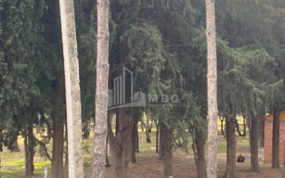 For Sale Building Commercial In Kumisi, Gardabani