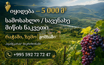 Продается Виноградник - Замковые Земля В Земо Йошхе, Амбролаури