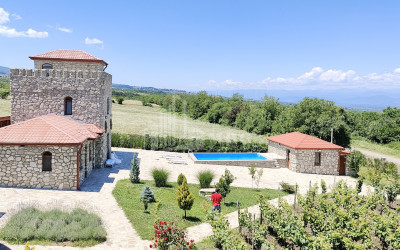For Sale Chateau / Wine factory Commercial In Kakheti