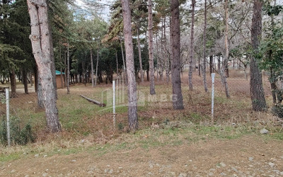 For Sale Building Commercial In Kumisi, Gardabani