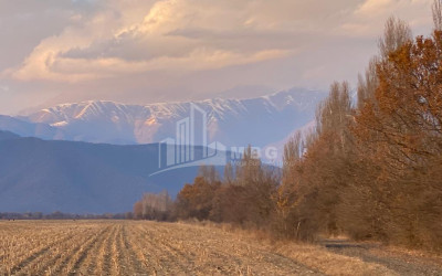 Продается Виноградник - Замковые Земля В Телави