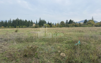 For Rent Warehousing - entrepreneurial Land In Tserovani, Mtskheta