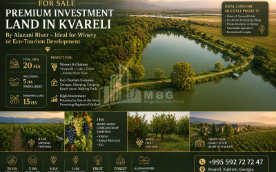 For Sale Vineyard - Chateau Land In Kvareli