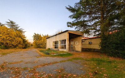 For Sale Chateau / Wine factory Commercial In Akhmeta