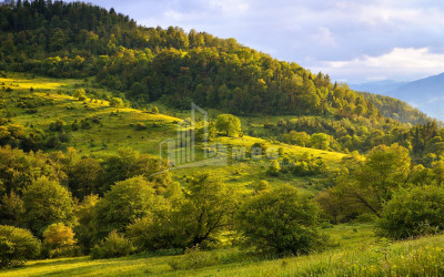 For Sale Country Land In Zemo Gostibe, Kaspi