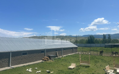 Продается Здание Коммерческий В Каспси